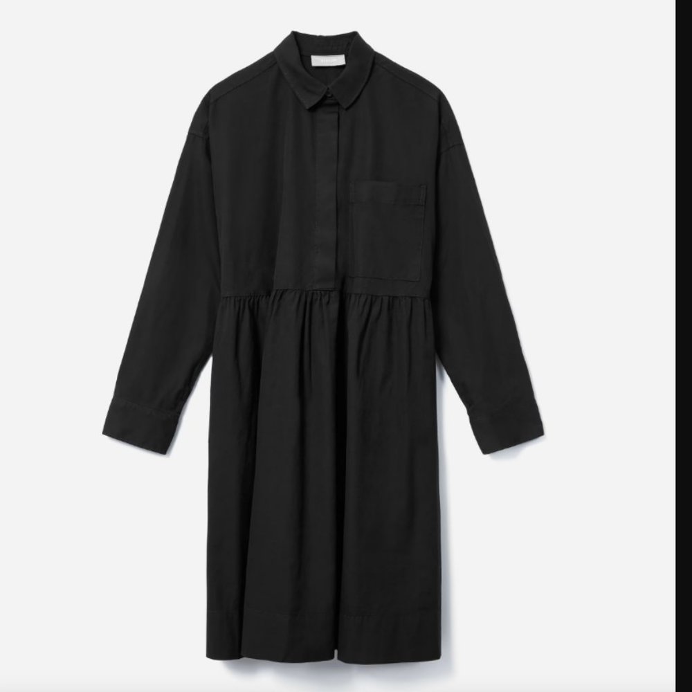 Everlane Field Dress